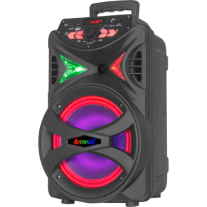 Caixa Amplificada Amvox Skd Aca 255 Hit